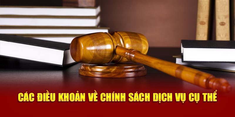 Các điều khoản về chính sách dịch vụ cụ thể 