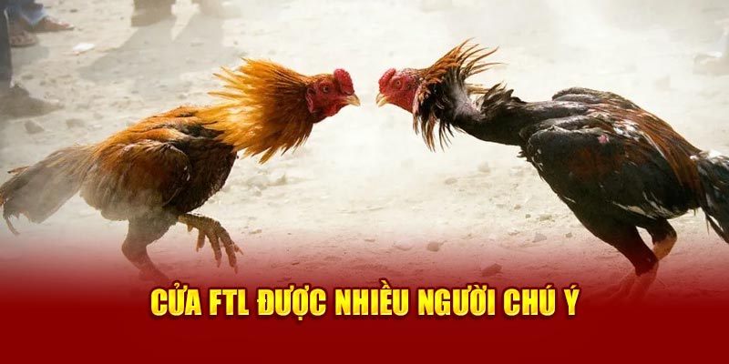 Cửa FTL được nhiều người chú ý