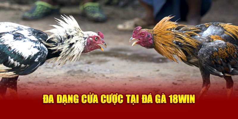 Đa dạng cửa cược tại Đá gà 18Win