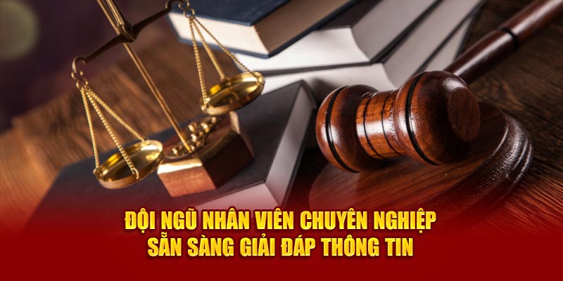 Đội ngũ nhân viên chuyên nghiệp sẵn sàng giải đáp thông tin 